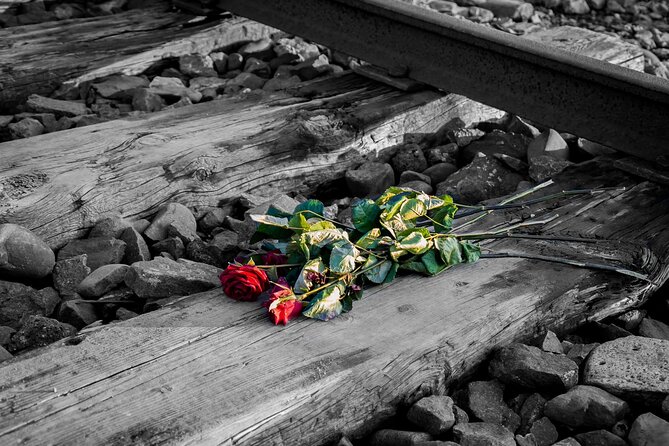 Auschwitz Birkenau and Salt Mine Full Day Guided Tour from Krakow hotel pick up - Price and value: is $180.27 a fair deal?