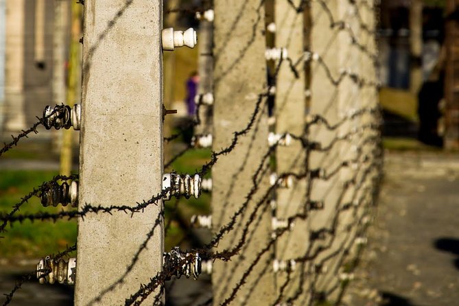 Auschwitz Birkenau and Salt Mine Full Day Guided Tour from Krakow hotel pick up - Should you book this Auschwitz-Birkenau and Salt Mine day tour?