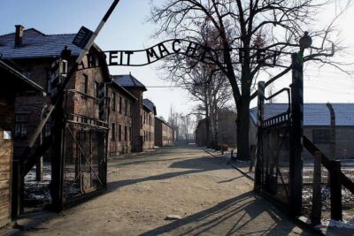Auschwitz-Birkenau and Salt Mine Full day tour - Wieliczka Salt Mine: Underground Chapels and Real Engineering