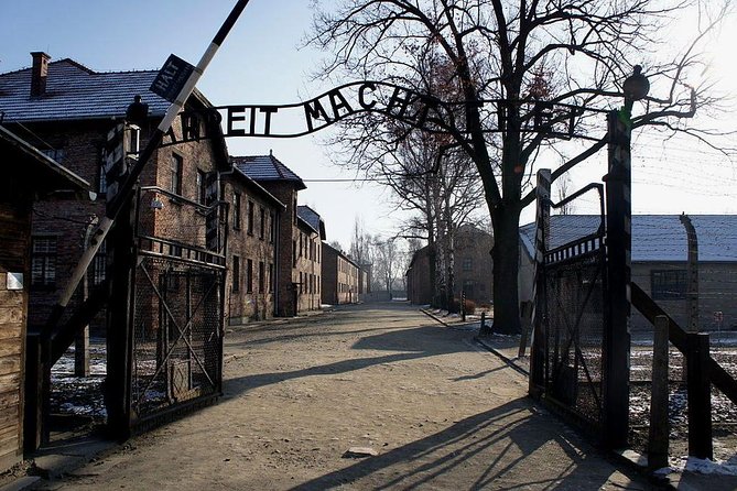 Auschwitz-Birkenau and Salt Mine Full day tour - Wieliczka Salt Mine: Underground Chapels and Real Engineering