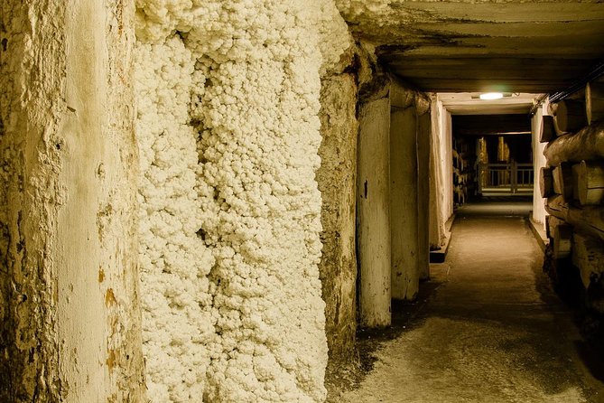 Auschwitz-Birkenau and Wieliczka Salt Mine Day Tour from Krakow with private car - Hotel pickup and the ride briefing you get before you arrive