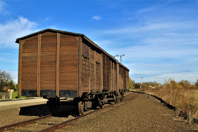 Auschwitz-Birkenau Guided Tour by Private Transport from Krakow - Walking, Timing, and the Pace That Can Surprise You