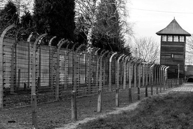 Auschwitz Birkenau Guided Tour with Ticket Hotel Pickup Small Van - The Van Ride: Shared Transport Comfort (and Sometimes a Documentary)