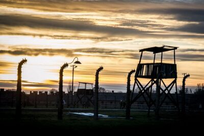 Auschwitz Birkenau Guided Tour with Ticket Hotel Pickup Small Van - How the 3.5-Hour Museum Route Works at Auschwitz and Birkenau