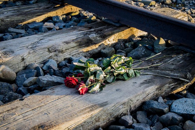 Auschwitz Birkenau Guided Tour with Ticket Hotel Pickup Small Van - Lunch and Food: Don’t Assume Meals Are Included