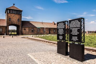 Auschwitz-Birkenau Memorial and Museum Trip from Krakow - The documentary film before the camps: helpful context, but sound can vary
