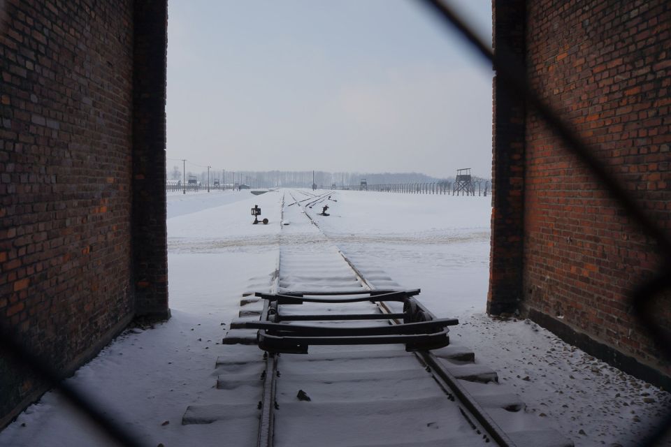 Auschwitz-Birkenau: Museum Entry Ticket with Guided Tour - Price and value: why $52 can still be a smart choice here