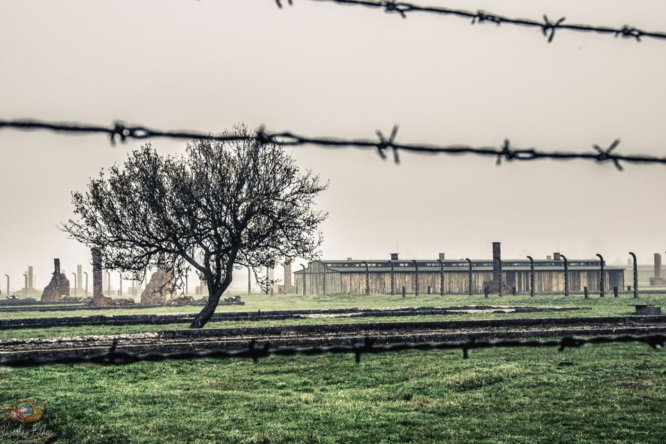 Auschwitz-Birkenau: Skip-the-Line Entry Ticket & Guided Tour - Auschwitz I: barracks, the ruins of the gas chamber area, and the guided story arc