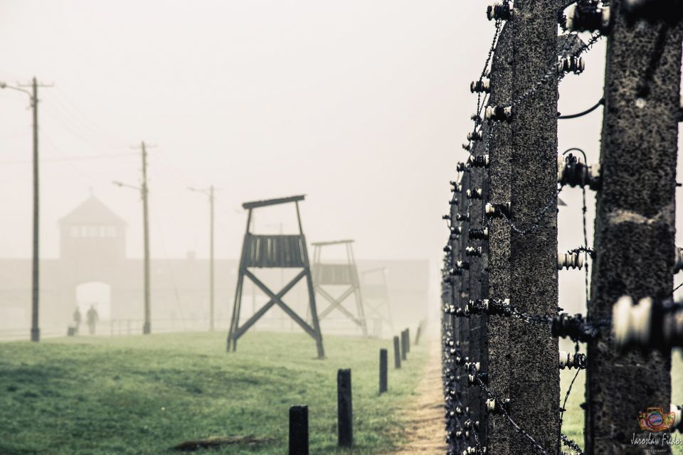 Auschwitz-Birkenau: Skip-the-Line Entry Ticket & Guided Tour - Auschwitz II Birkenau: an hour that shows the scale