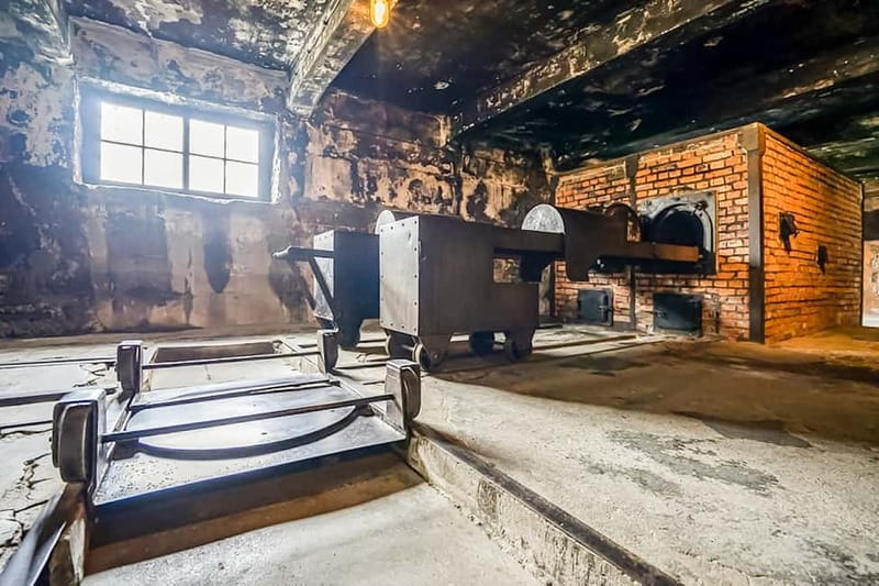 Auschwitz-Birkenau Skip-the-Line Guided Tour - Auschwitz I stop: what you should pay attention to during the ~2 hours