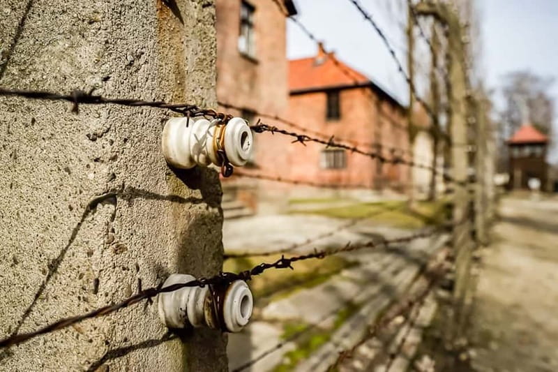 Auschwitz-Birkenau Skip-the-Line Guided Tour - Auschwitz II–Birkenau: how to get more from the ~60–75 minutes