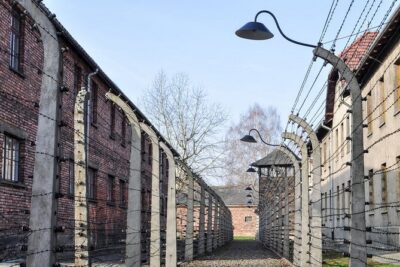 Auschwitz-Birkenau Tour Guide and Jewish museum and synagogue - The drive to Oświęcim: pickup timing and comfort matter more than you think