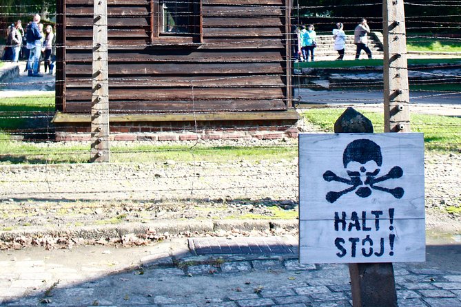 Auschwitz-Birkenau Tour: Tickets + Transportation from Krakow - Krakow Hotel Pickup: Small Van Comfort, Very Early Start