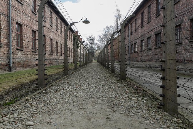 Auschwitz-Birkenau & Wieliczka in one day (Guided tour) - What’s included in the price, and what to double-check