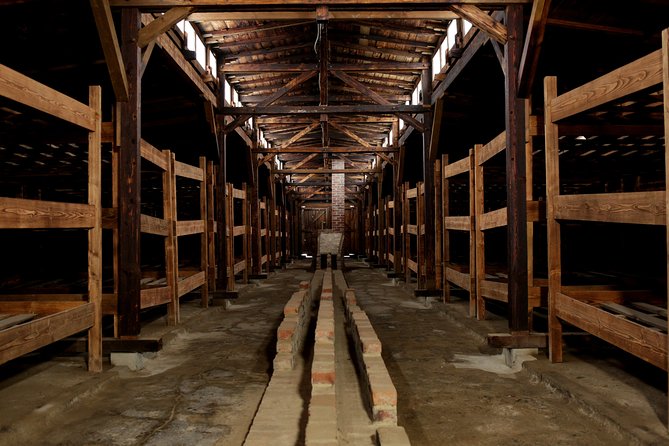From Cracow: Auschwitz- Birkenau Tour with transportation - Auschwitz II-Birkenau: Big walking, heavier atmosphere, and the remnant landscape