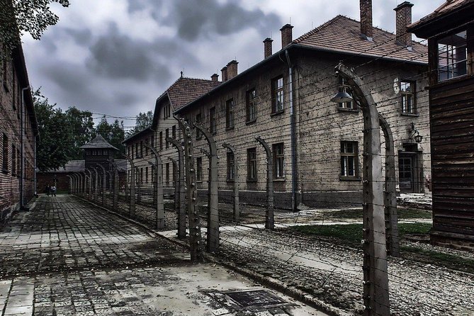 From Krakow: Auschwitz-Birkenau and Salt Mine with Private Transfer - Who this tour fits best (and who might want something else)