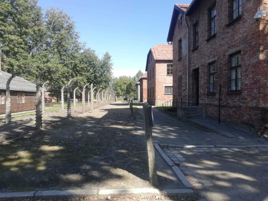 From Krakow: Auschwitz-Birkenau and Self-Guided Day Tour - Tickets and the Skip-the-Line Idea: What to Expect in Practice
