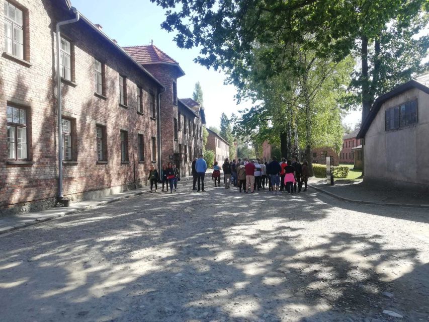 From Krakow: Auschwitz-Birkenau and Self-Guided Day Tour - Self-Guided With Assistance: The Best of Both Worlds