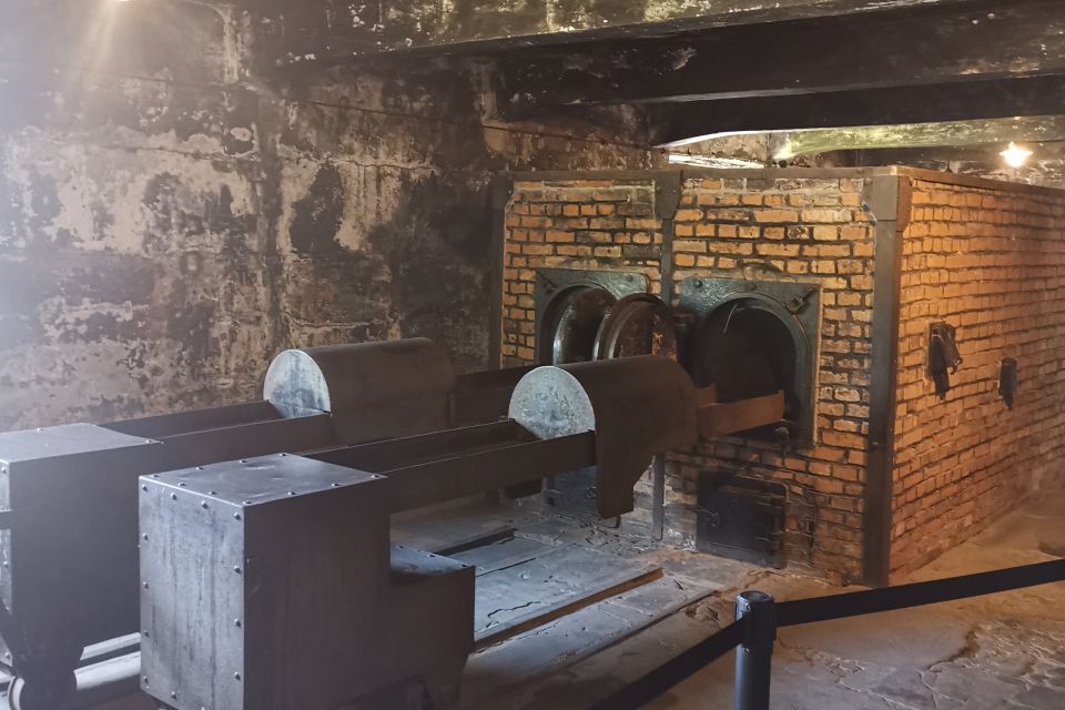 From Krakow: Auschwitz-Birkenau Camp Complex Guided Day Trip - Who this Auschwitz-Birkenau guided trip is best for