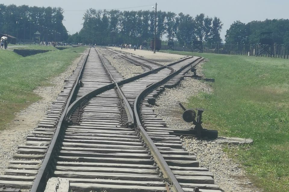 From Krakow: Auschwitz-Birkenau Camp Complex Guided Day Trip - Birkenau: gas chambers, crematoria, and memorial paths that force you to slow down