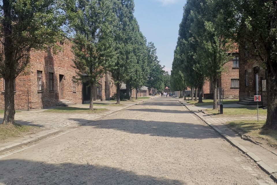From Krakow: Auschwitz-Birkenau Camp Complex Guided Day Trip - How to handle the emotional weight of the day