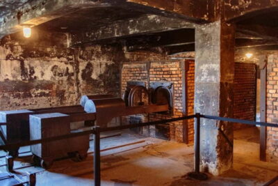 From Krakow: Auschwitz-Birkenau Guided Full-Day Tour - Auschwitz I: the preserved camp and what the guide will point out