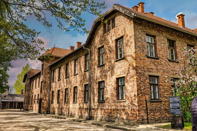 From Krakow: Auschwitz-Birkenau Guided Tour & Transport - Who should book this Auschwitz-Birkenau day trip (and who should rethink it)