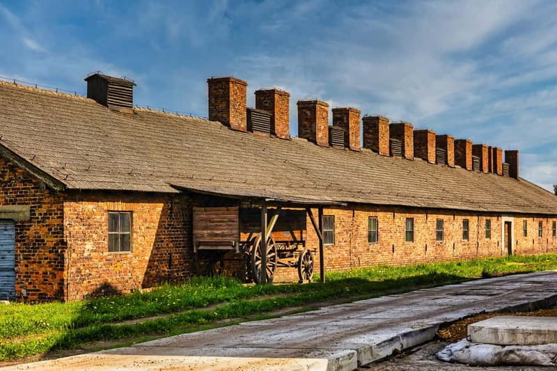 From Krakow: Auschwitz-Birkenau Guided Tour & Transport - Krakow to Auschwitz-Birkenau: why this organized day makes sense