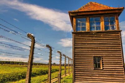 From Krakow: Auschwitz-Birkenau Guided Tour & Transport - Pickup, transport, and the real timing you should plan for