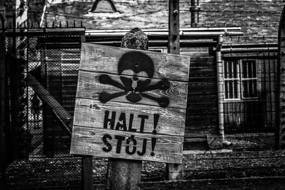 From Krakow: Auschwitz-Birkenau Guided Tour & Transport - The guides: why official narration changes the experience