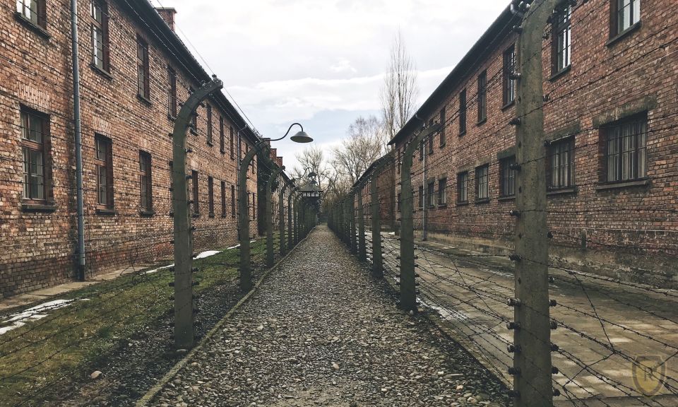 From Krakow: Auschwitz Birkenau Self-Guided Tour - Price and value: what $21 really buys you