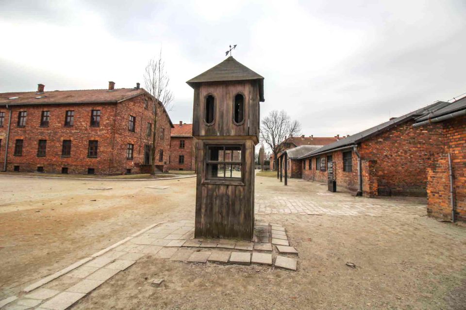 From Krakow: Guided Auschwitz-Birkenau Group Tour by Minivan - Who this Auschwitz day is best for