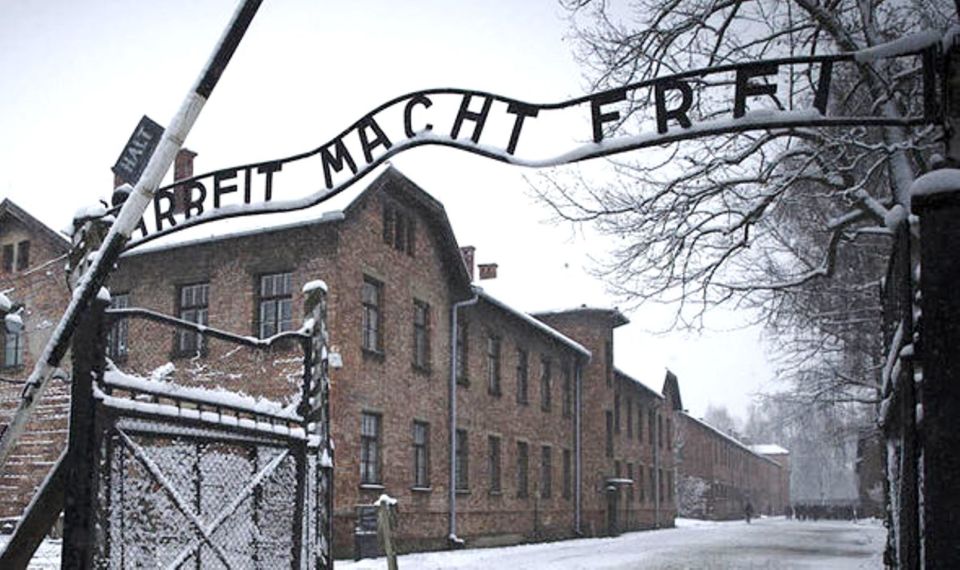 From Krakow: Guided Auschwitz-Birkenau Group Tour by Minivan - The brief break that still matters