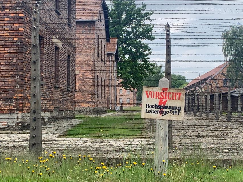 From Krakow: Guided Auschwitz-Birkenau Group Tour by Minivan - Auschwitz II-Birkenau: where scale hits you