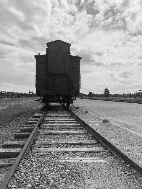 From Krakow: Guided Auschwitz-Birkenau Group Tour by Minivan - Transportation logistics: van pickup points and drop-off convenience