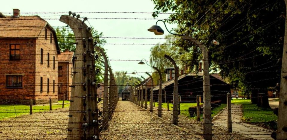 From Krakow: Guided Auschwitz-Birkenau Group Tour by Minivan - Skip-the-line entry: less waiting, more learning