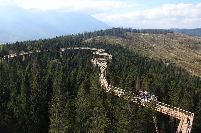 From Kraków: Slovakia Treetop Walk Bachledka and Zakopane - Bachledka treetop walk: 30–40 minutes of uphill effort, then tree-crown magic