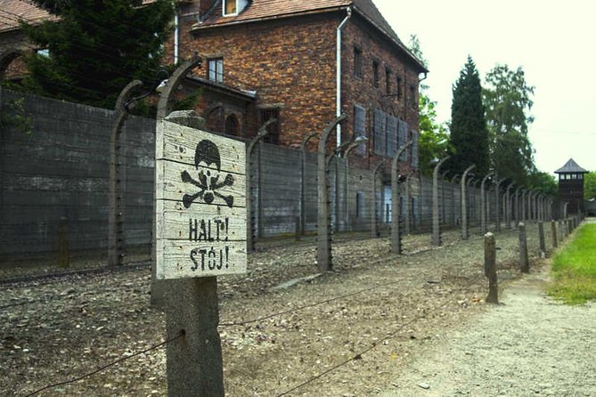 Full-Day Tour of Auschwitz and Wieliczka Salt Mine from Krakow - How the morning transfer sets the tone for the whole day