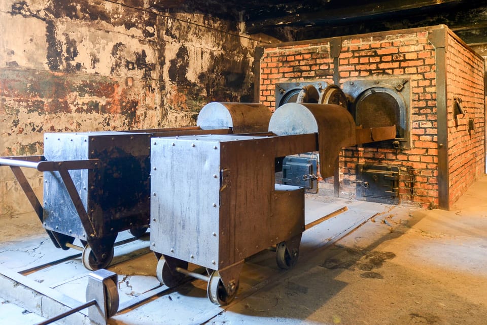 Krakow: Auschwitz-Birkenau Day Trip with Tour Leader - Should you book this Auschwitz-Birkenau day trip?