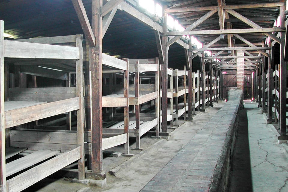 Krakow: Auschwitz-Birkenau Day Trip with Tour Leader - Entering Auschwitz I: how to use your time well
