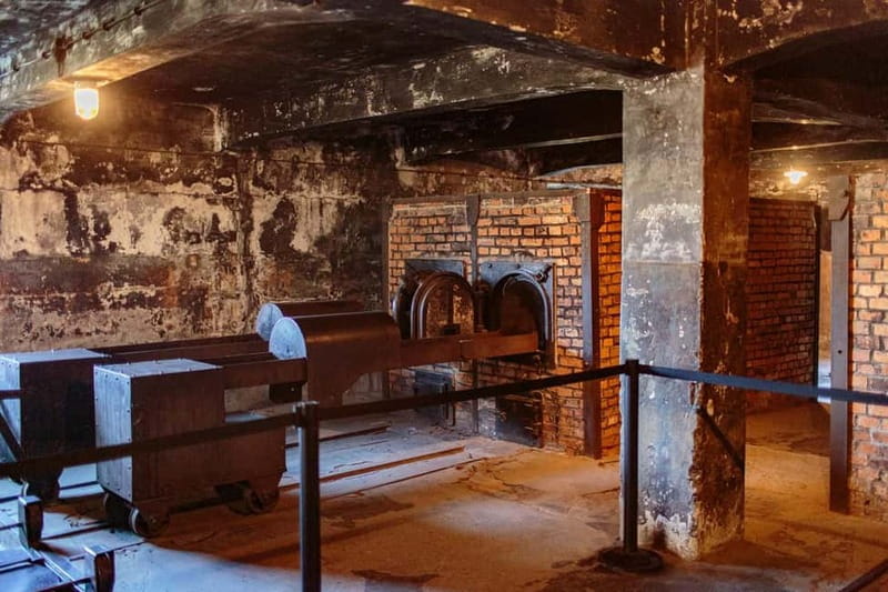 Krakow: Auschwitz-Birkenau Entry Ticket and Transfer - Key Points Worth Your Attention