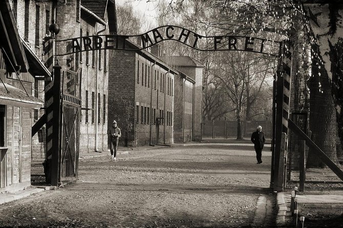 Krakow: Auschwitz-Birkenau Guided Tour with Hotel Transfer - Group size, minivan logistics, and comfort you can plan for