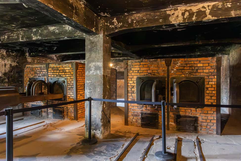 Krakow: Auschwitz-Birkenau Guided Tour with Transportation - Price and value: how $20 fits an 8–9 hour day