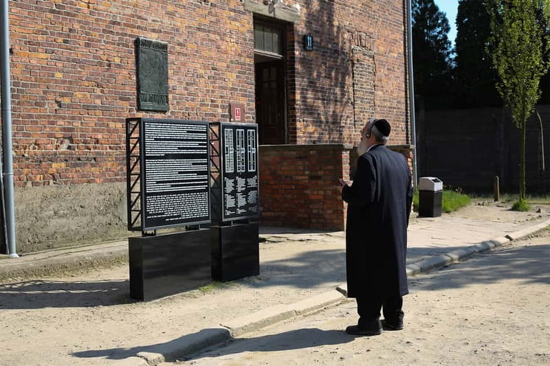 Krakow: Auschwitz-Birkenau Private Guided Tour - Auschwitz I (main camp): walking, self-guided areas, and official context