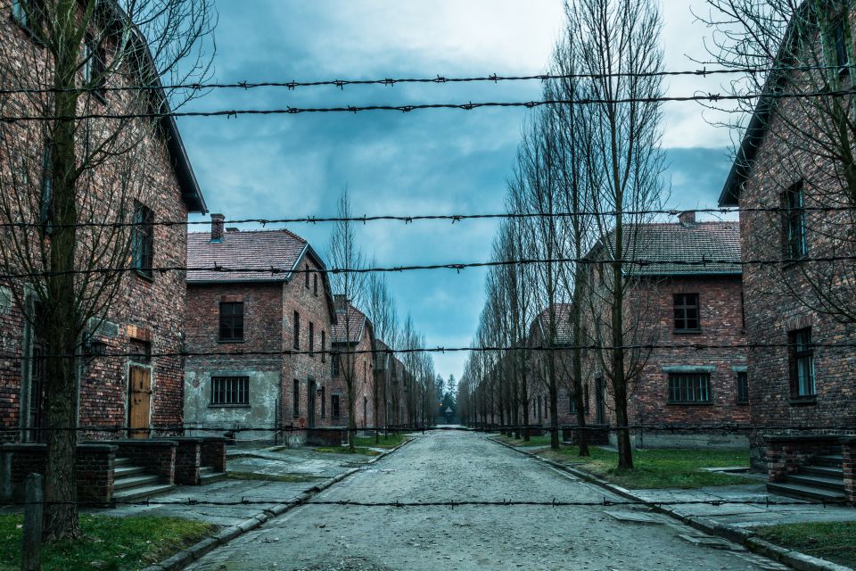 Kraków: Auschwitz-Birkenau & Salt Mine Full-Day Guided Tour - Lunch Break Before the Salt Mine: Plan for the Gap