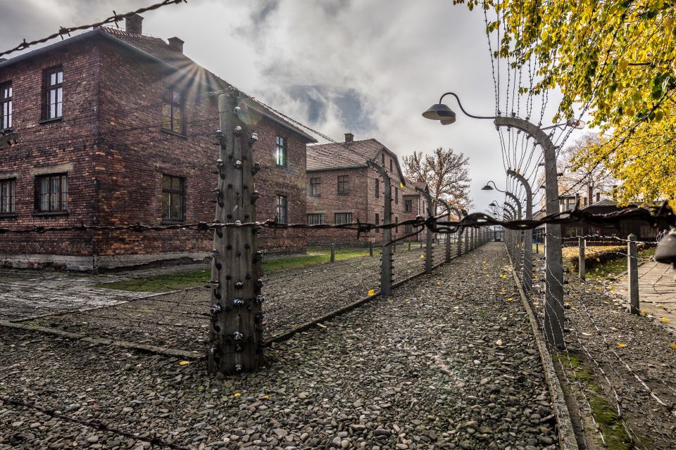 Kraków: Auschwitz-Birkenau & Salt Mine Full-Day Guided Tour - Wieliczka Salt Mine: 800 Steps Down to a Underground Art Museum