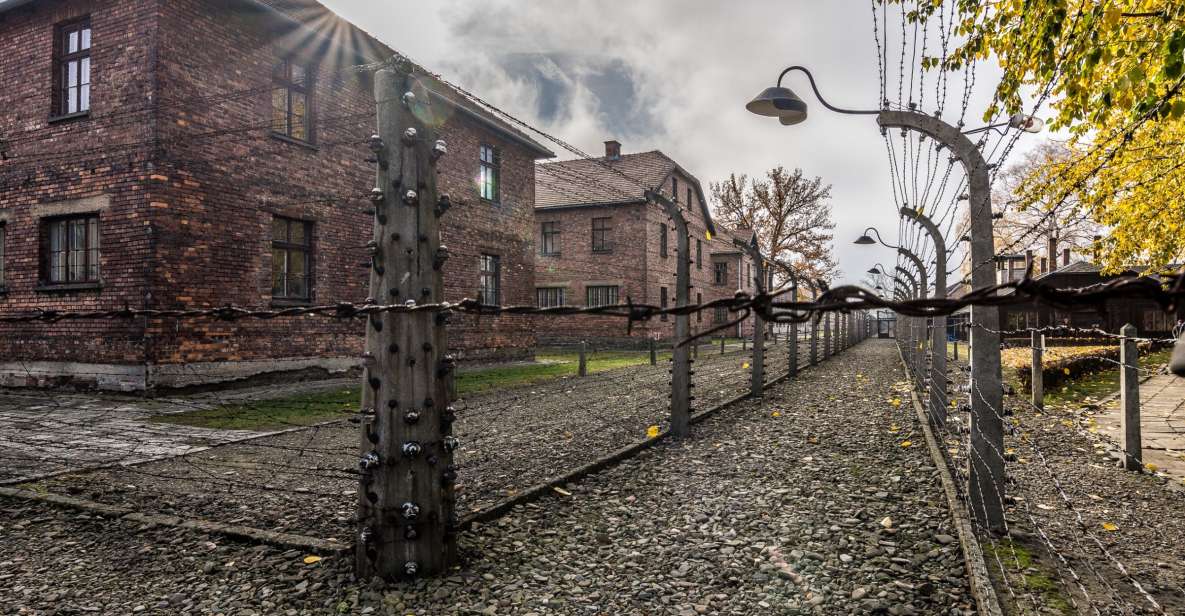 Kraków: Auschwitz-Birkenau & Salt Mine Full-Day Guided Tour - What You Actually Get for the Price (and Where It Can Fall Short)