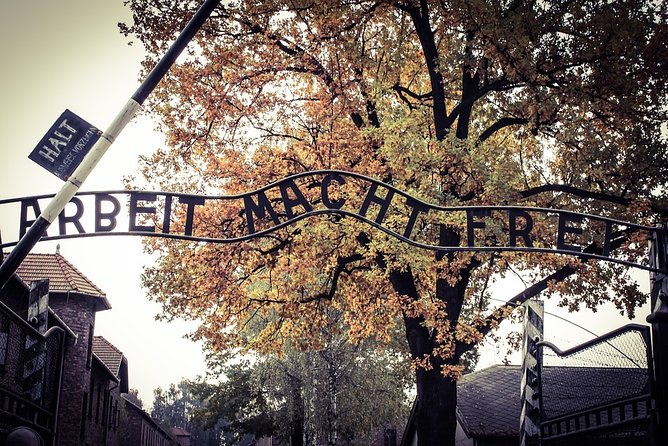 Krakow: Auschwitz-Birkenau Shared English Tour and Transfer - Should you book this Auschwitz-Birkenau tour from Krakow?