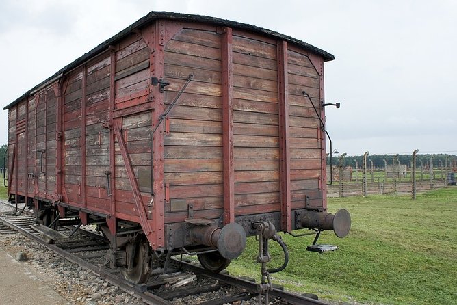 Krakow: Auschwitz-Birkenau Shared English Tour and Transfer - Pickup, meeting points, and time expectations in Krakow