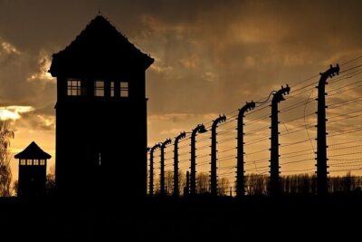 Krakow: Auschwitz-Birkenau Tour & Museum Expert Guide - A short transfer break, then Birkenau’s scale hits